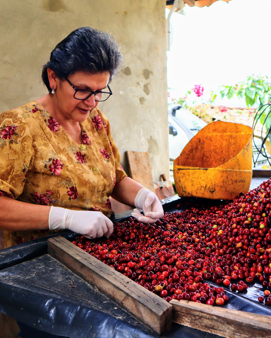 Medellin Coffee Roasters - La vega Pink Borbone